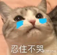 首次提名就得獎，她應得的！